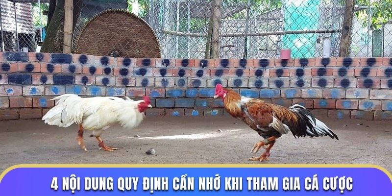4 nội dung quy định cần nhớ khi tham gia cá cược