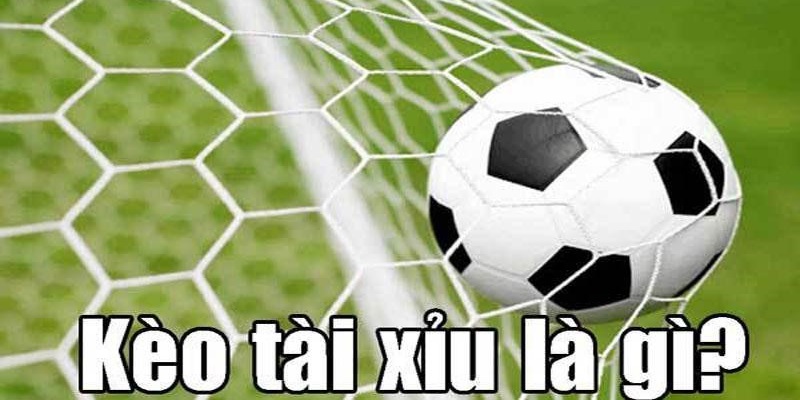 Dành cho những ai chưa biết về loại kèo này