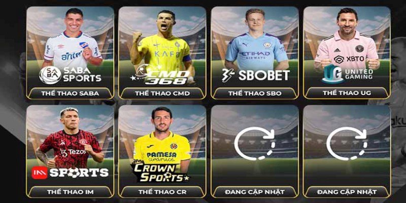 Thể thao 789WIN đồng hành cùng đối tác uy tín